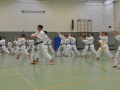 DSC_0040-1.JPG