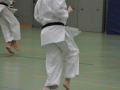 DSC_0133.JPG
