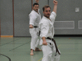DSC_0222.JPG
