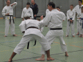 DSC_0276.JPG