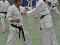 DSC_0277.JPG