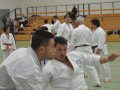 DSC_0377.JPG