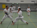 DSC_0423.JPG